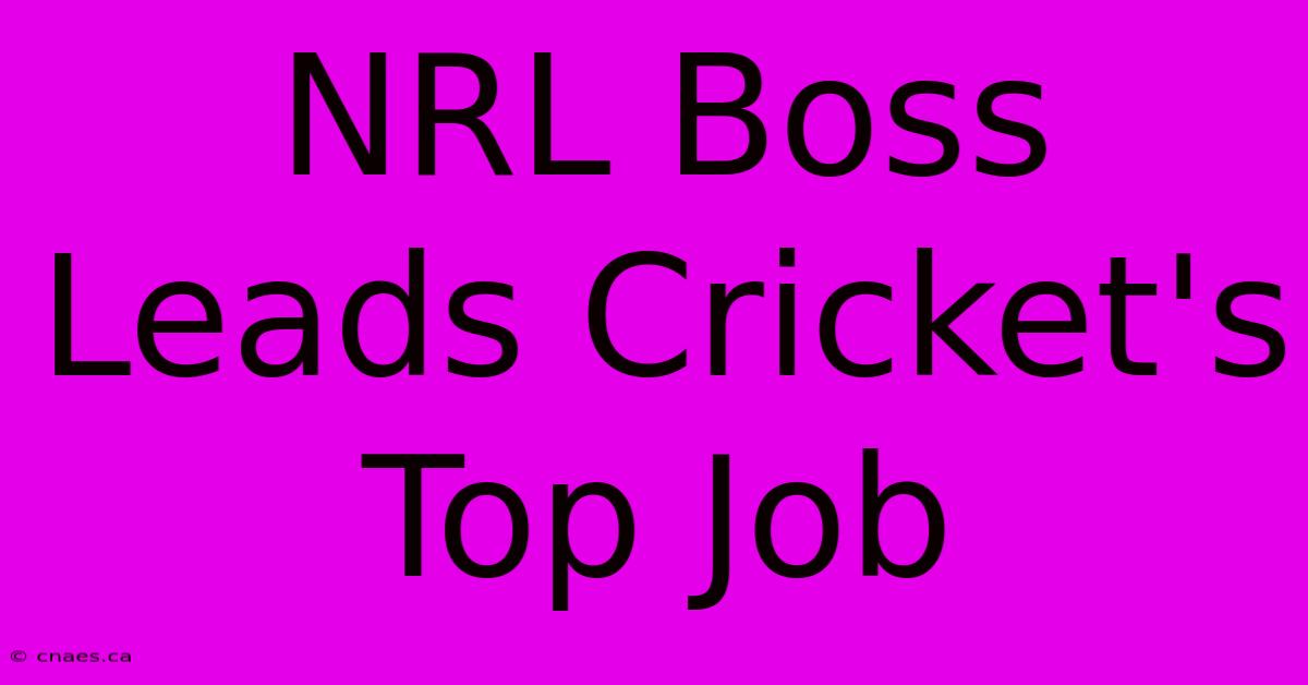 NRL Boss Leads Cricket's Top Job