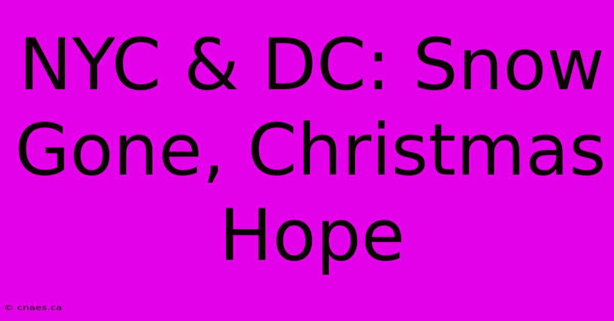 NYC & DC: Snow Gone, Christmas Hope