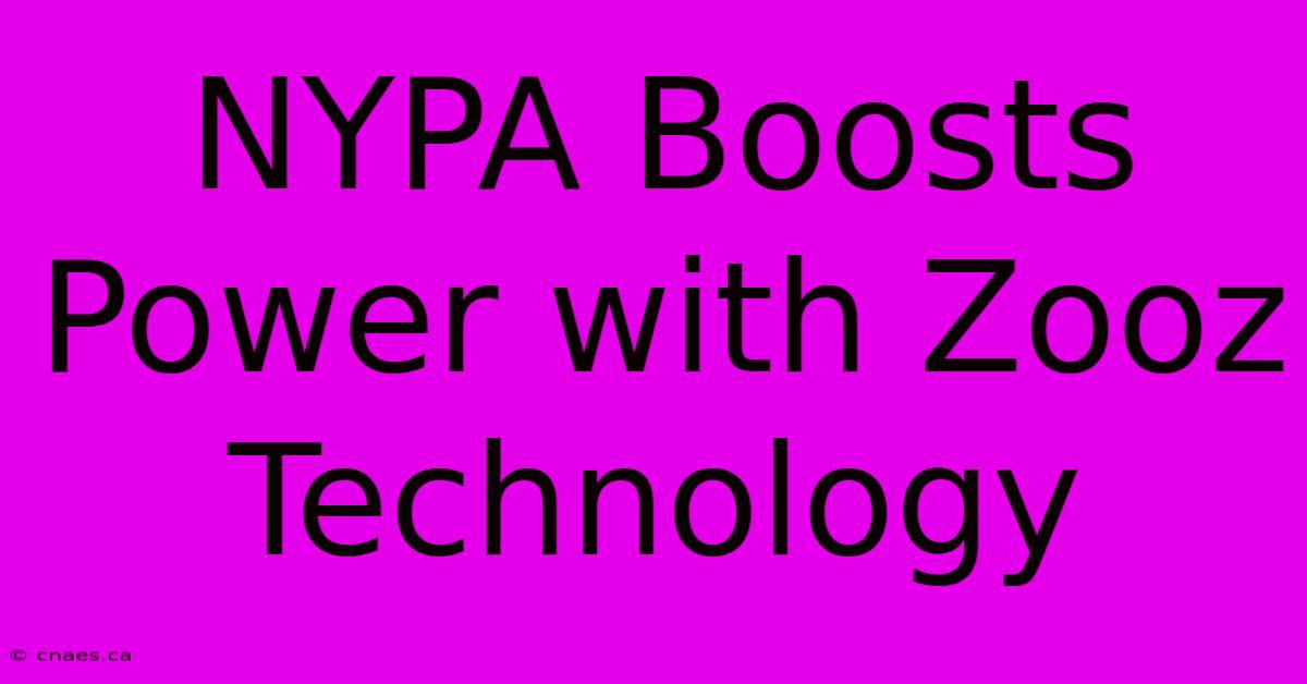 NYPA Boosts Power With Zooz Technology