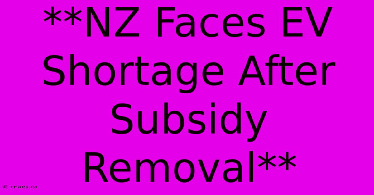 **NZ Faces EV Shortage After Subsidy Removal** 