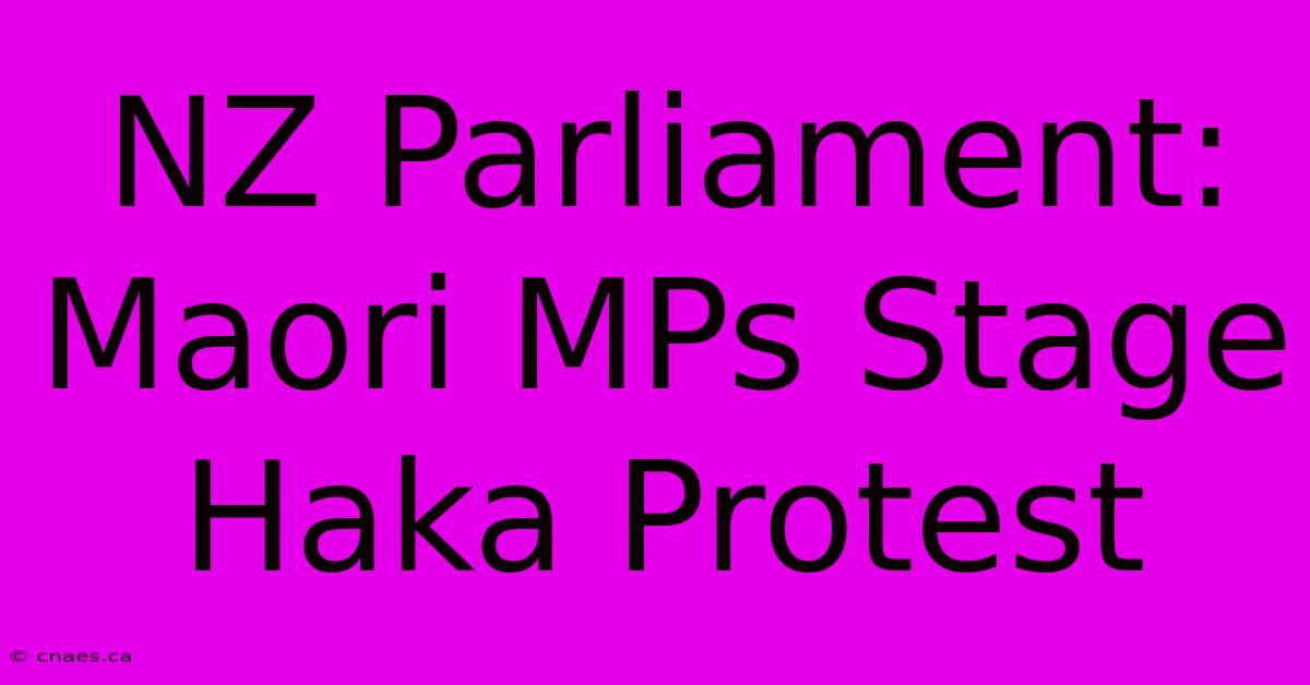 NZ Parliament: Maori MPs Stage Haka Protest