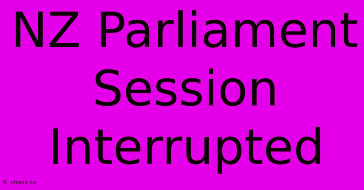 NZ Parliament Session Interrupted