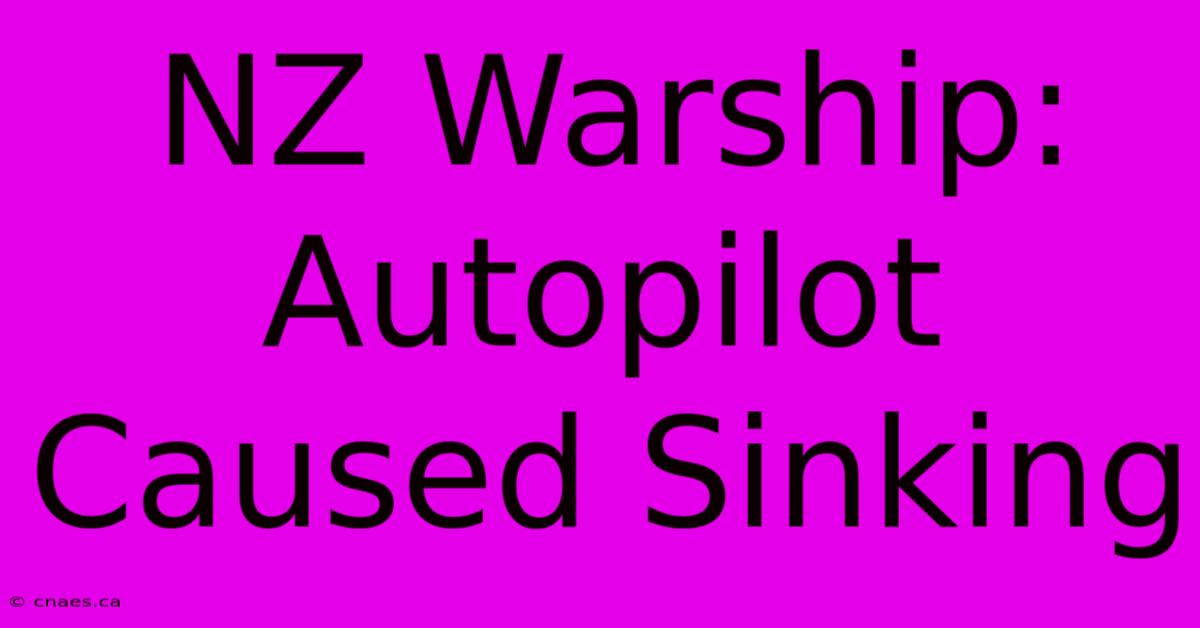 NZ Warship: Autopilot Caused Sinking