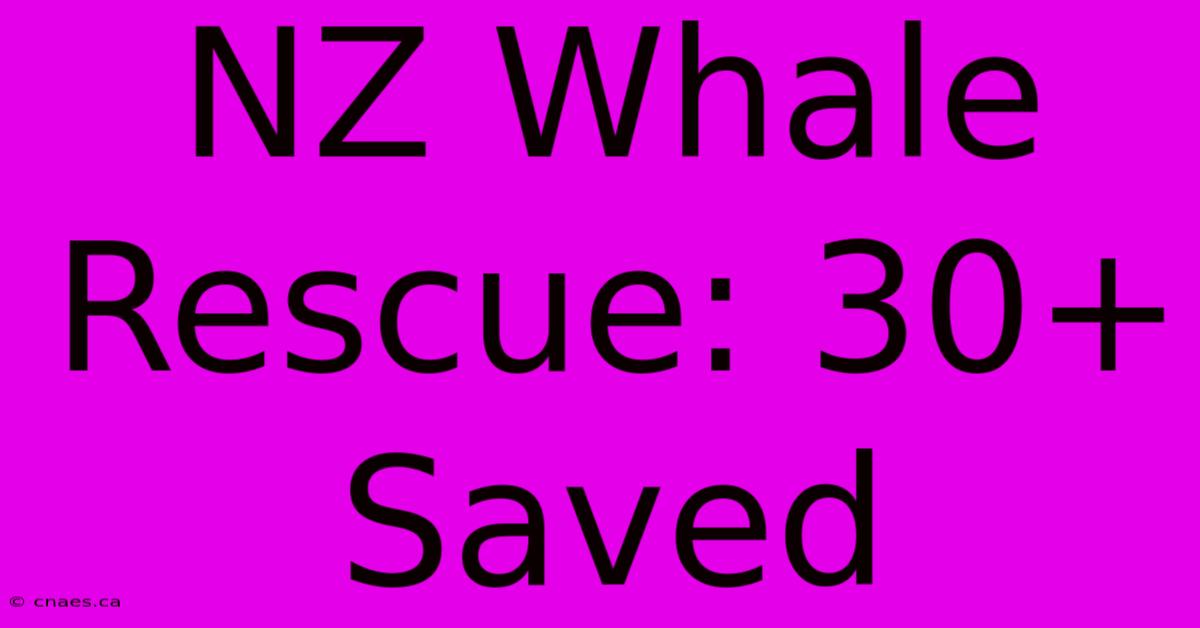 NZ Whale Rescue: 30+ Saved