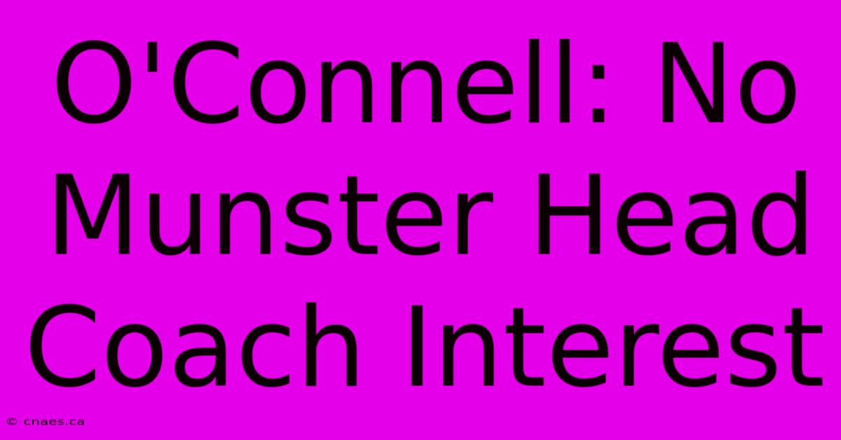 O'Connell: No Munster Head Coach Interest