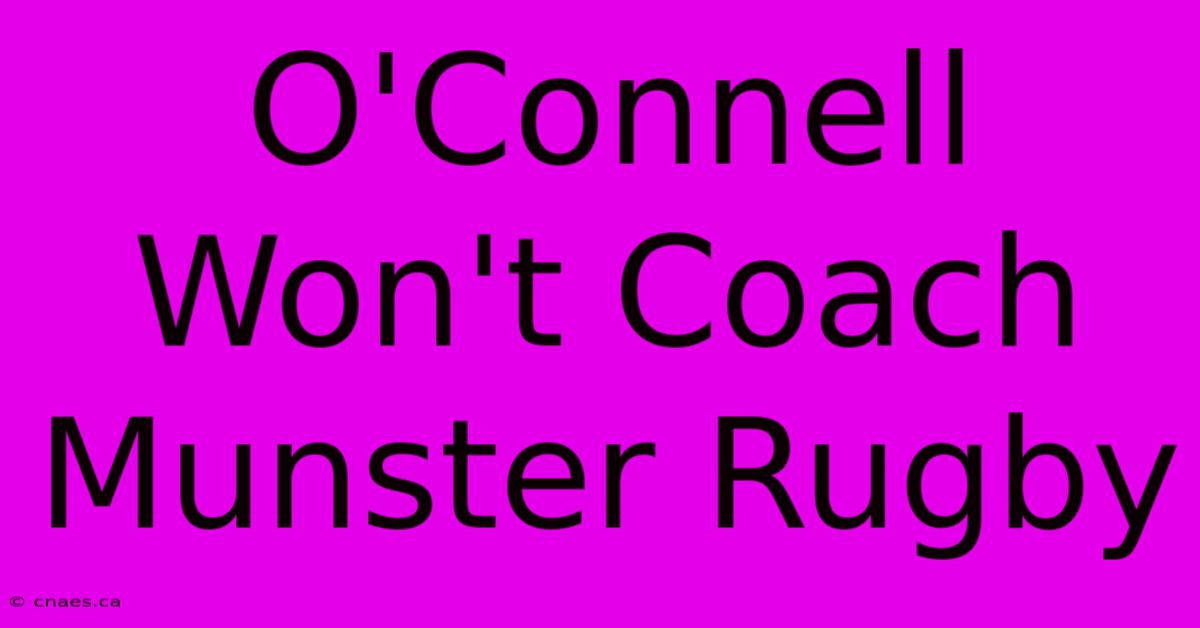 O'Connell Won't Coach Munster Rugby