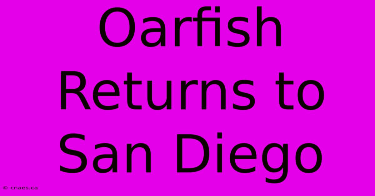 Oarfish Returns To San Diego