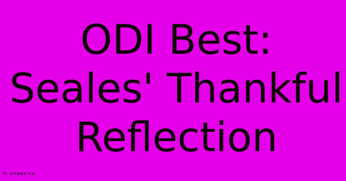 ODI Best: Seales' Thankful Reflection