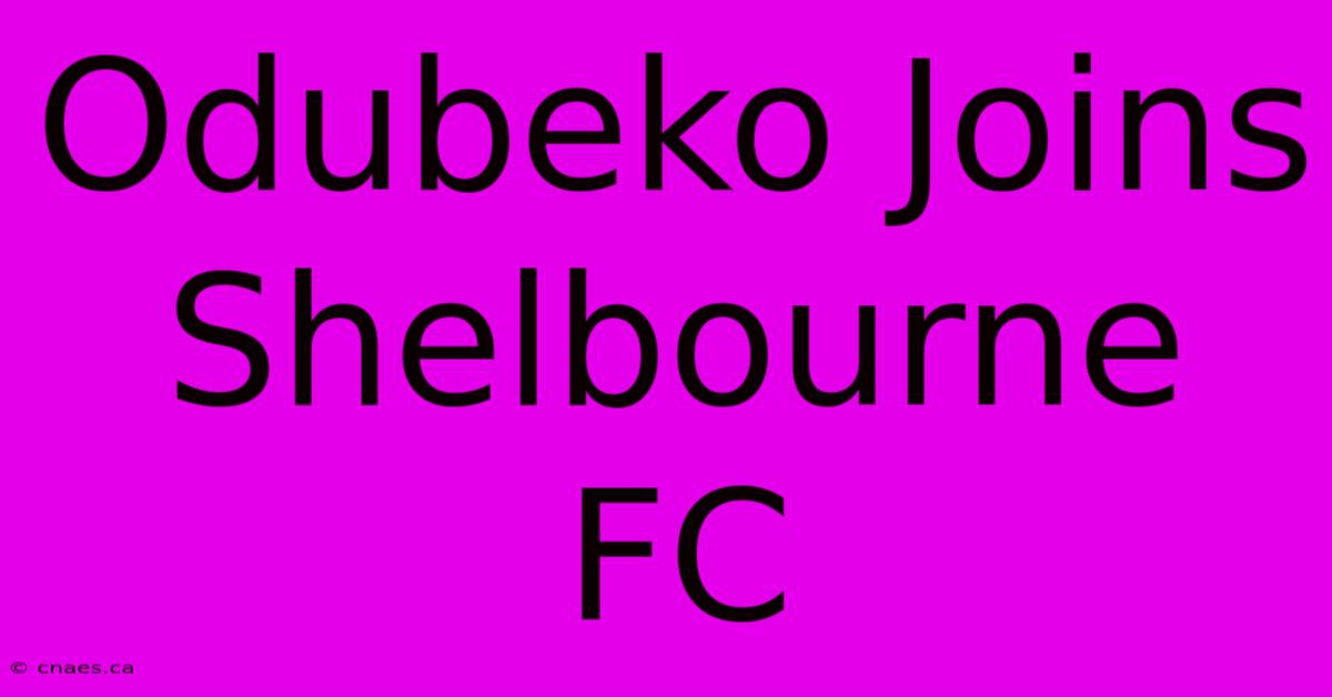 Odubeko Joins Shelbourne FC