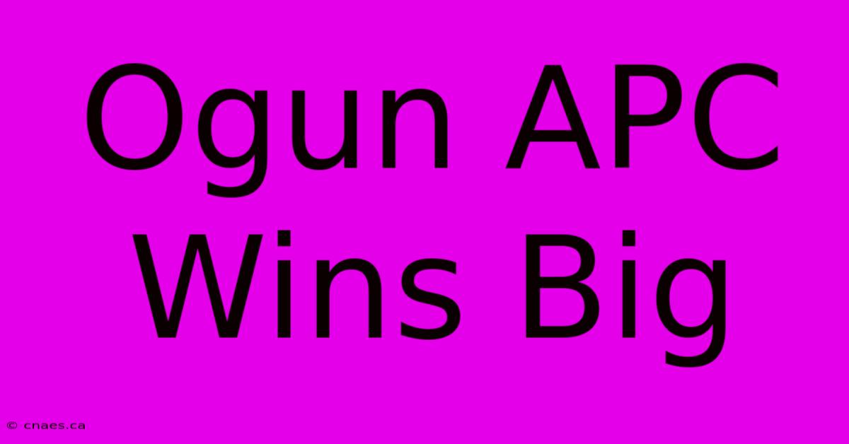 Ogun APC Wins Big