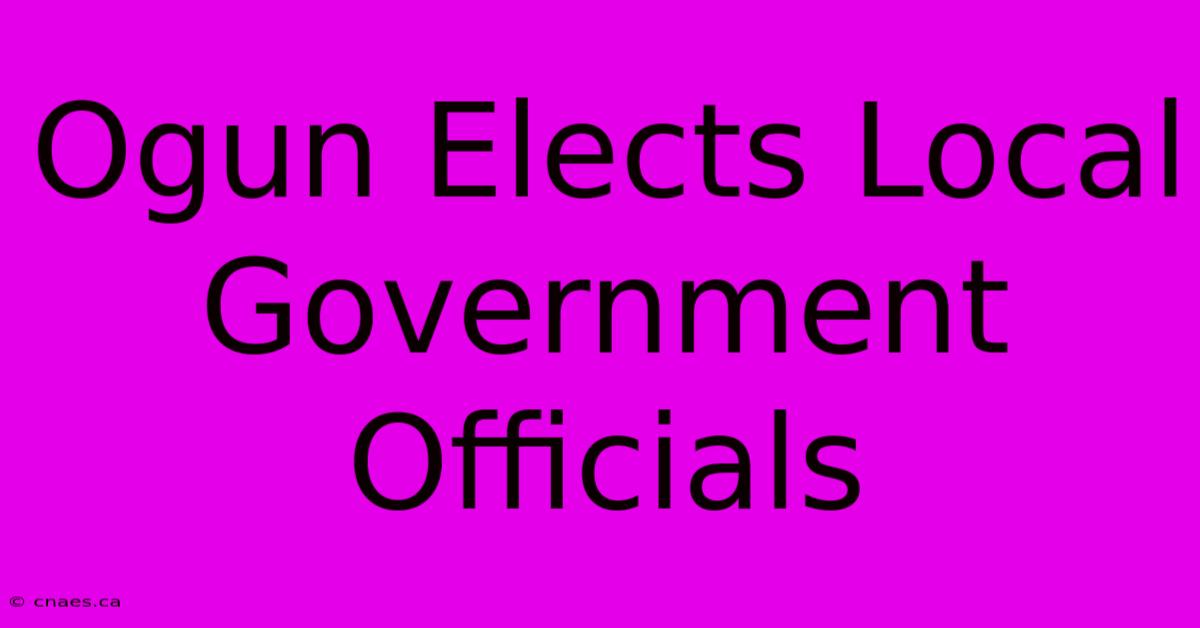 Ogun Elects Local Government Officials