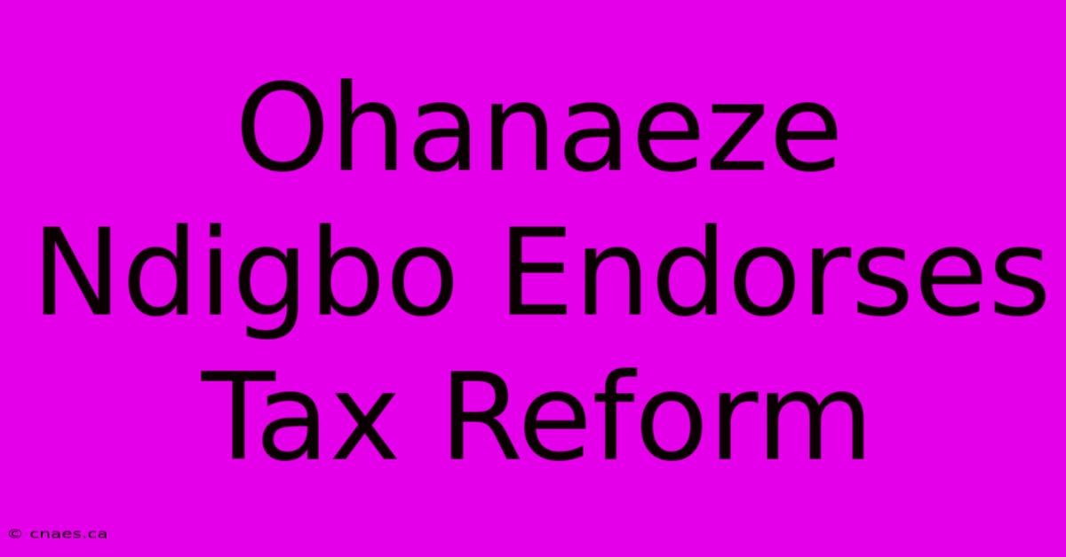 Ohanaeze Ndigbo Endorses Tax Reform