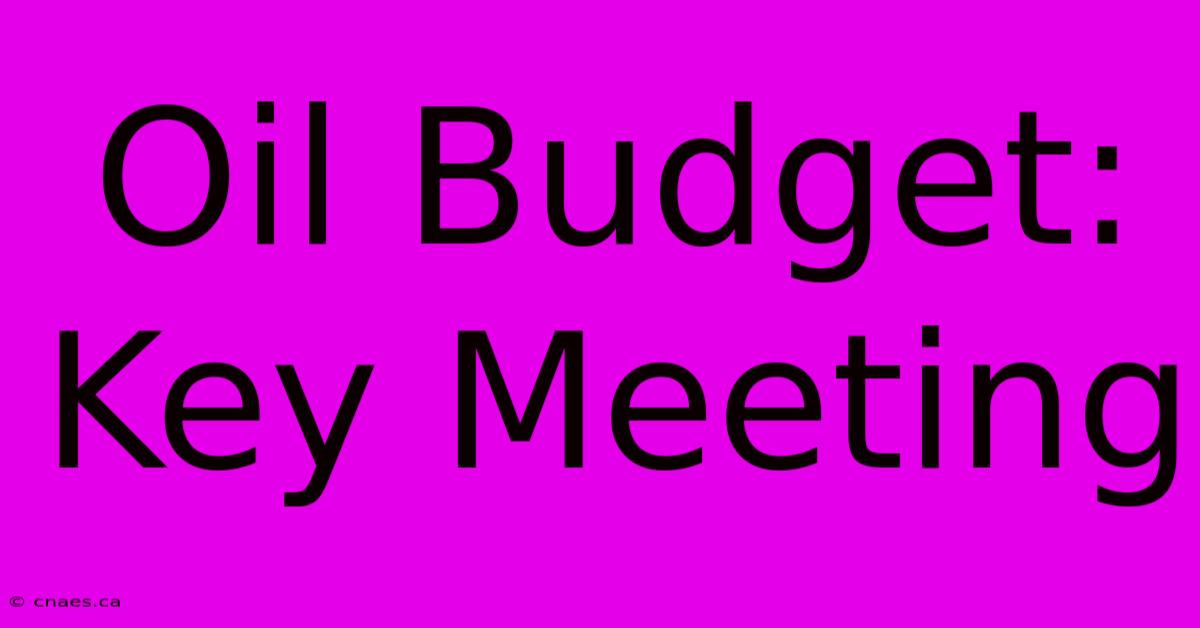 Oil Budget: Key Meeting