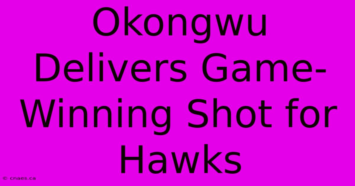 Okongwu Delivers Game-Winning Shot For Hawks