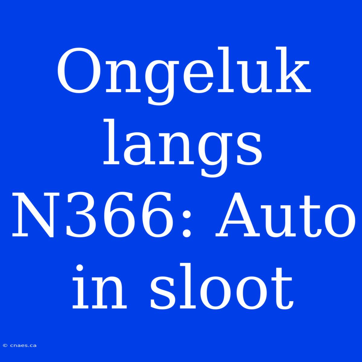 Ongeluk Langs N366: Auto In Sloot