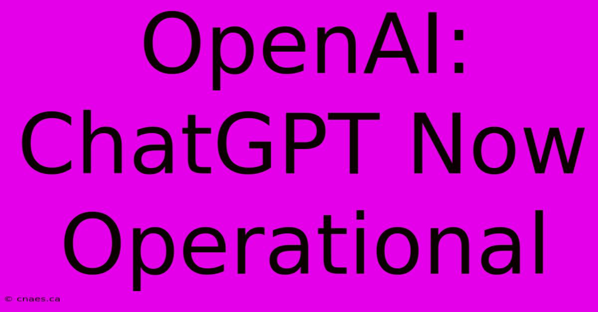 OpenAI: ChatGPT Now Operational