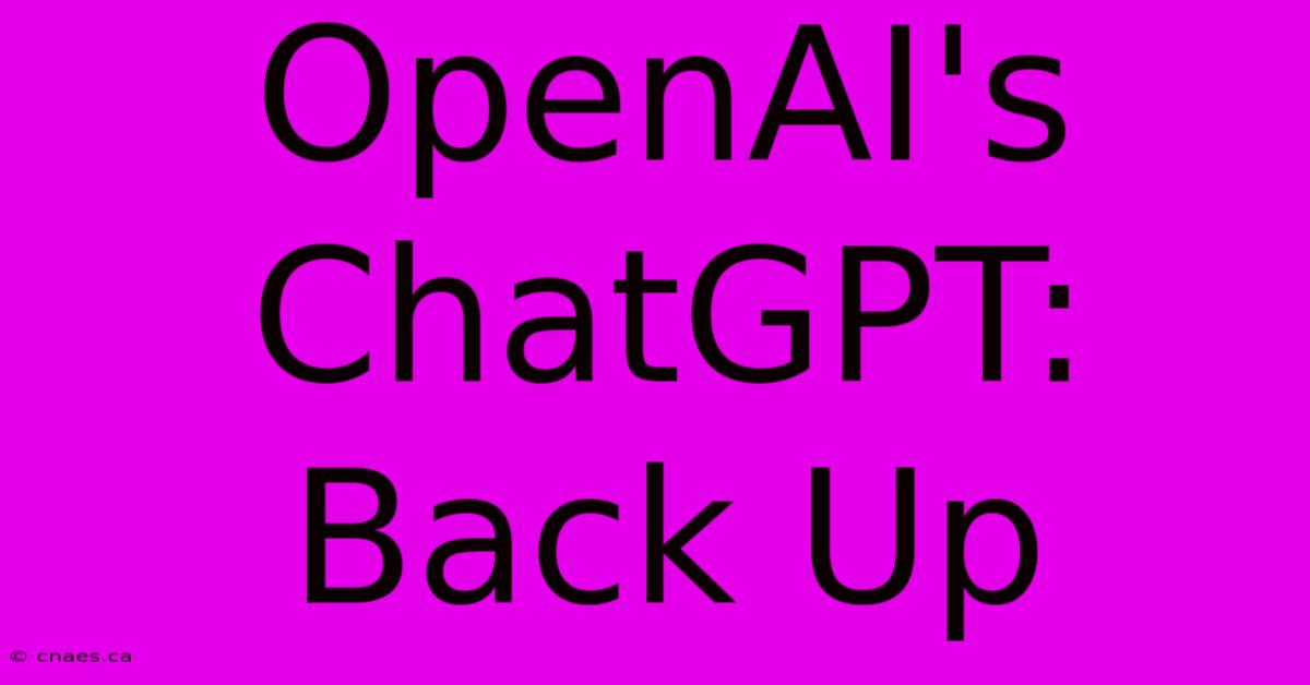 OpenAI's ChatGPT: Back Up