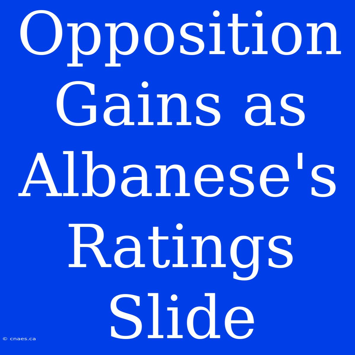 Opposition Gains As Albanese's Ratings Slide