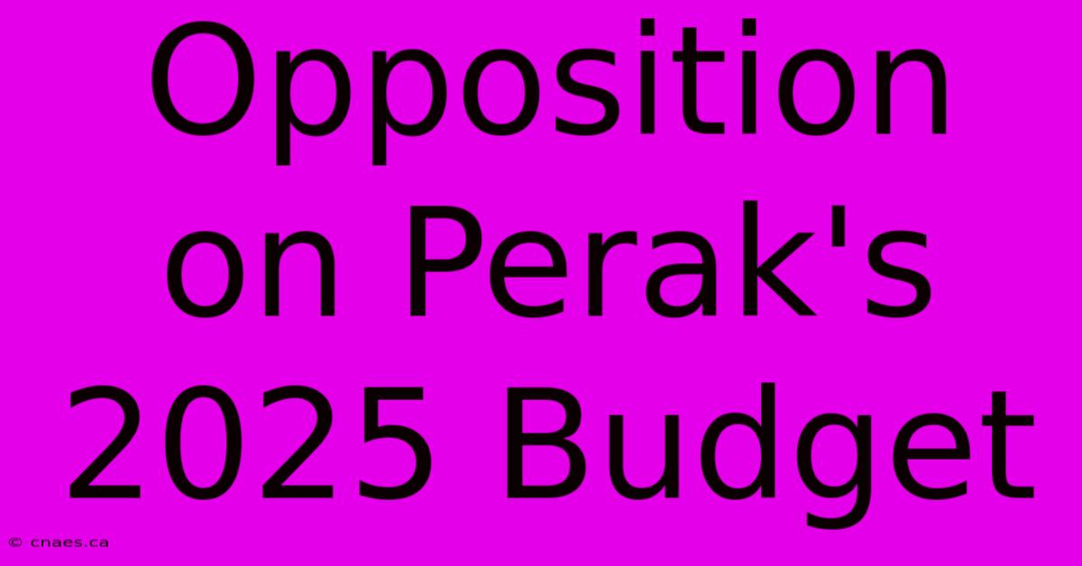 Opposition On Perak's 2025 Budget