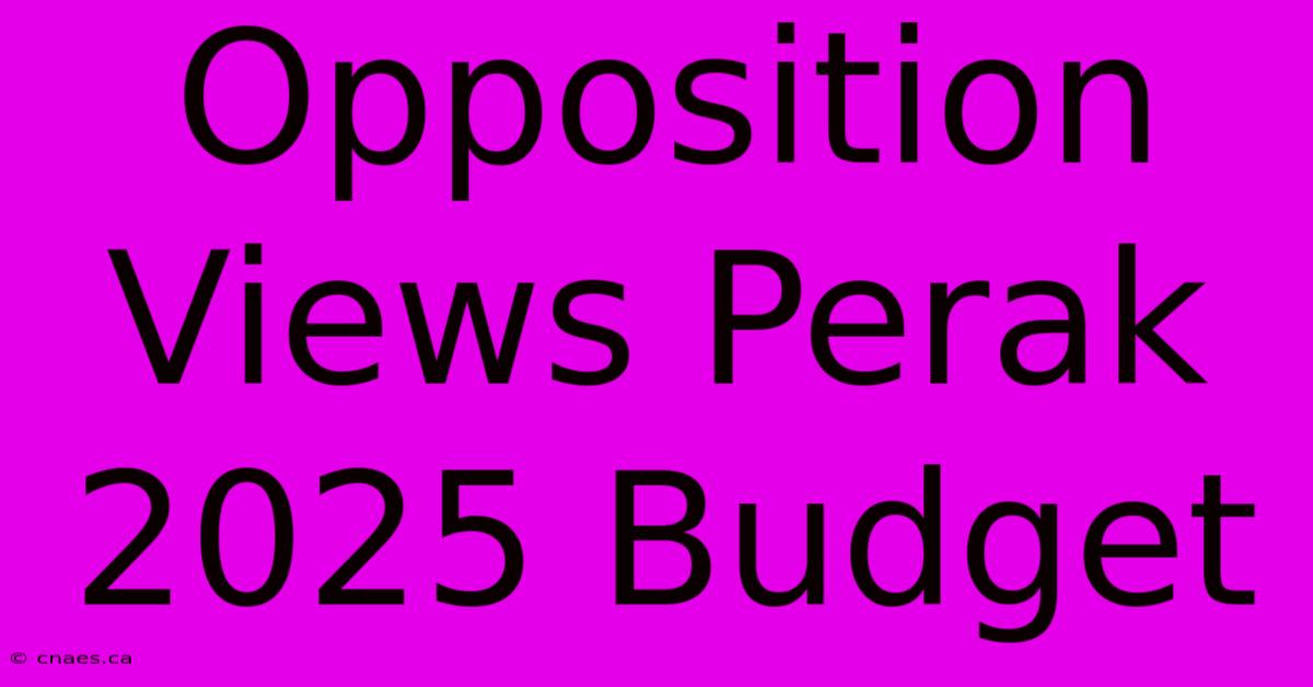 Opposition Views Perak 2025 Budget