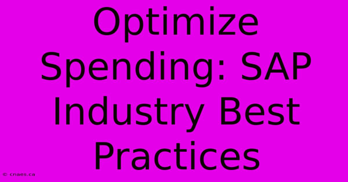 Optimize Spending: SAP Industry Best Practices