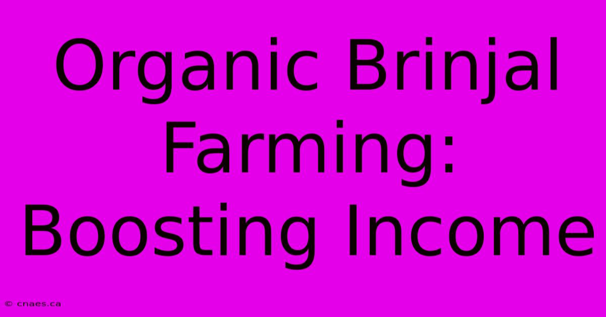 Organic Brinjal Farming: Boosting Income