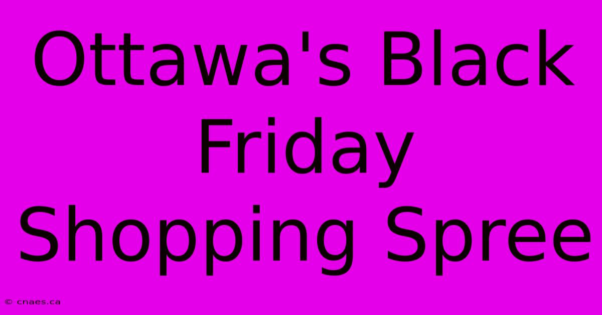 Ottawa's Black Friday Shopping Spree