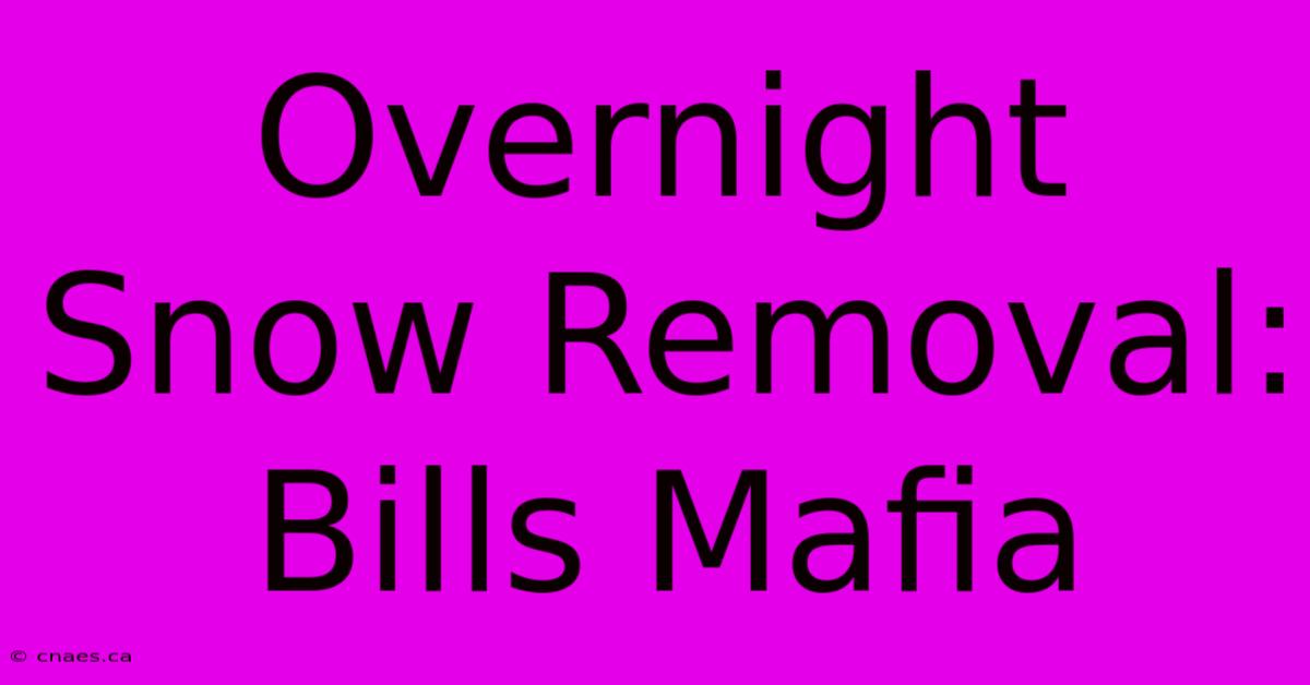 Overnight Snow Removal: Bills Mafia