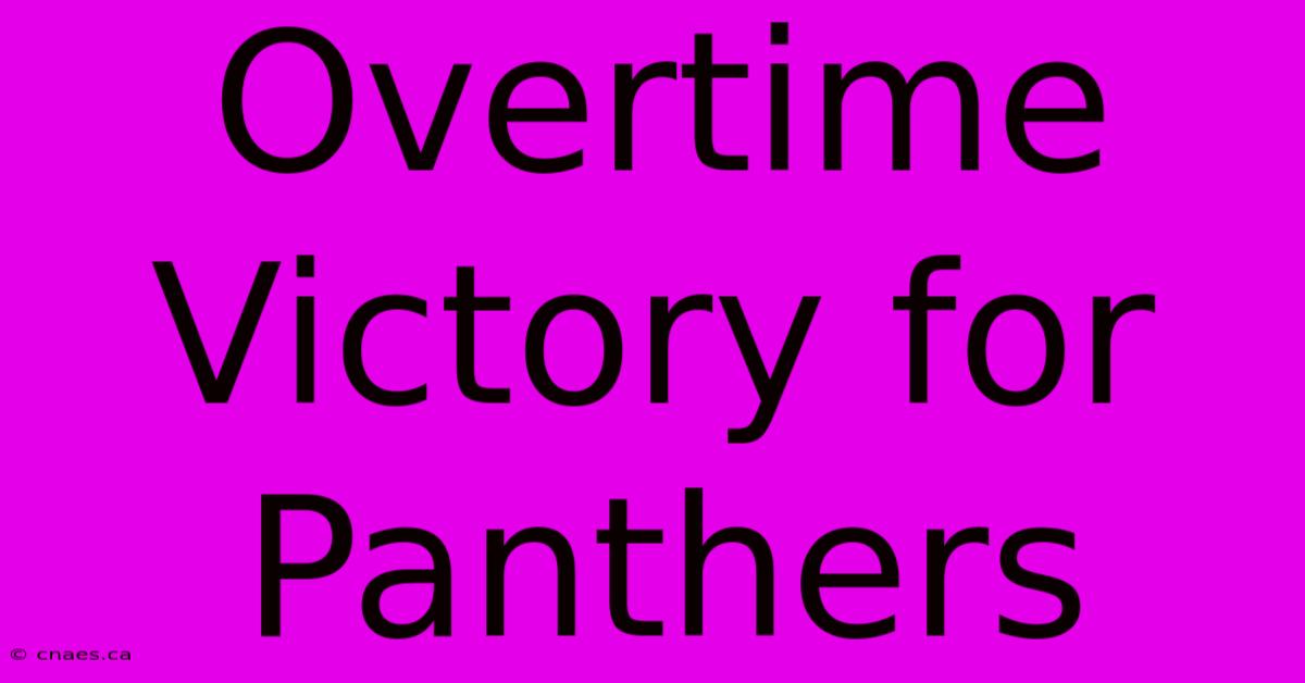 Overtime Victory For Panthers