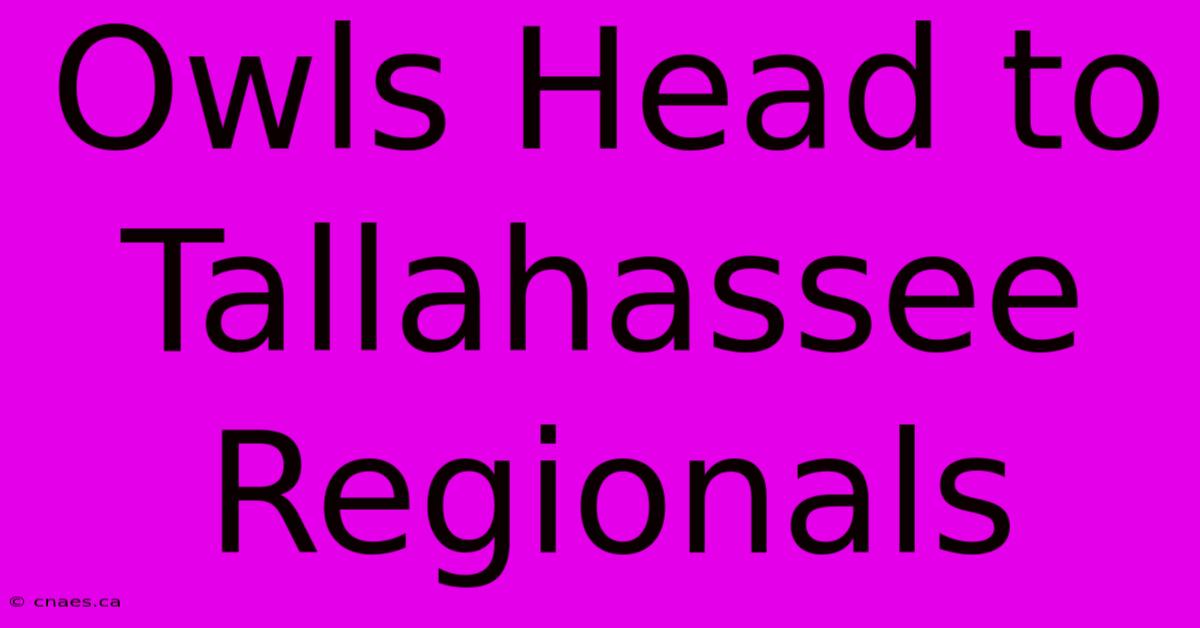 Owls Head To Tallahassee Regionals