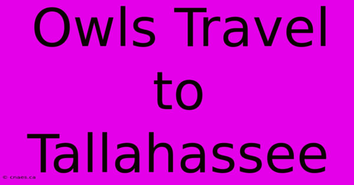 Owls Travel To Tallahassee