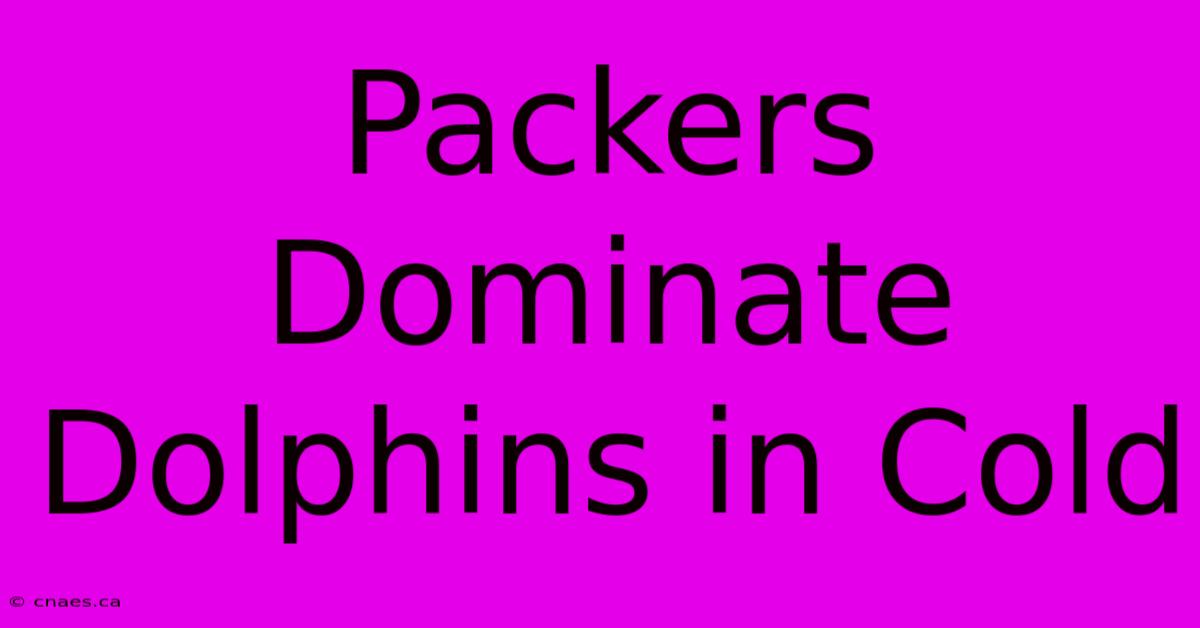 Packers Dominate Dolphins In Cold