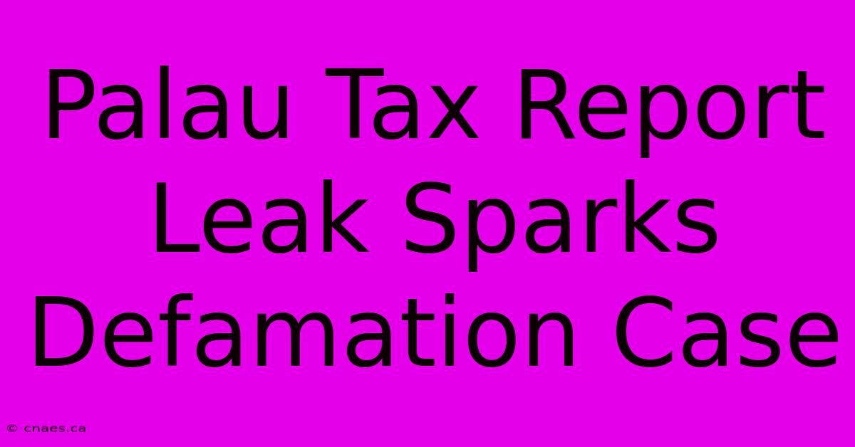 Palau Tax Report Leak Sparks Defamation Case