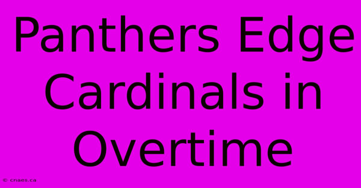 Panthers Edge Cardinals In Overtime