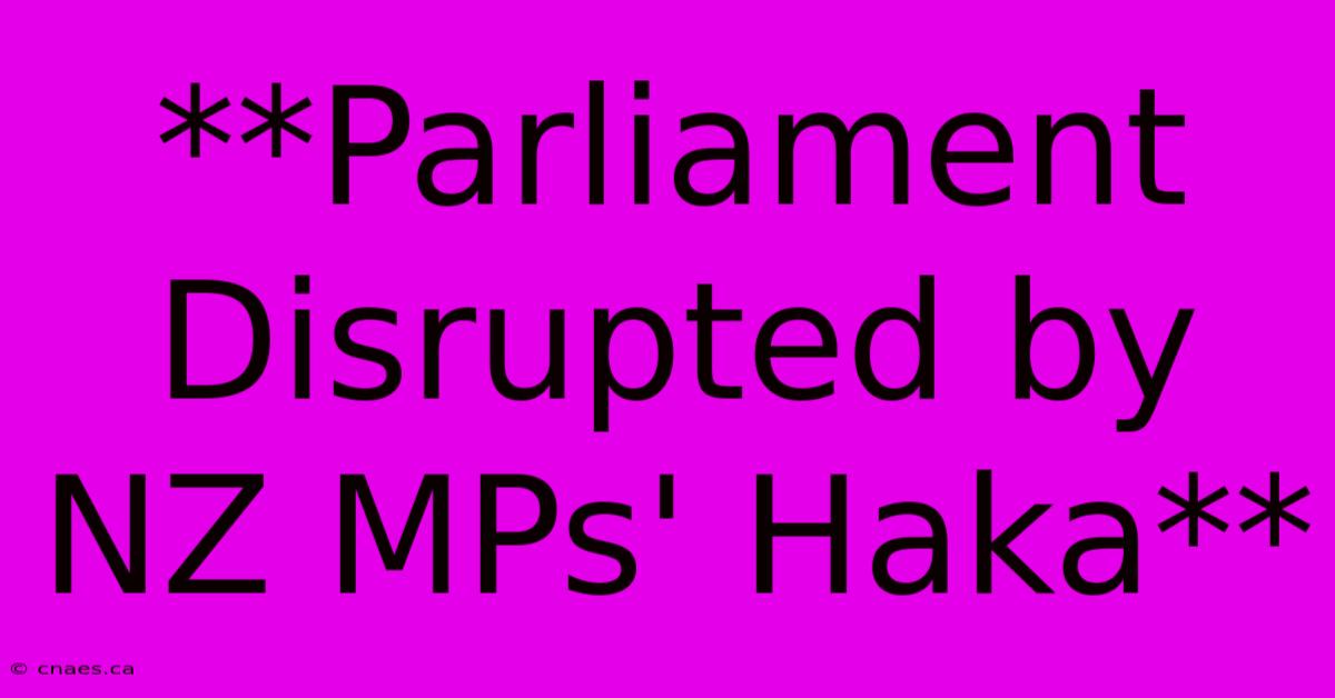 **Parliament Disrupted By NZ MPs' Haka**