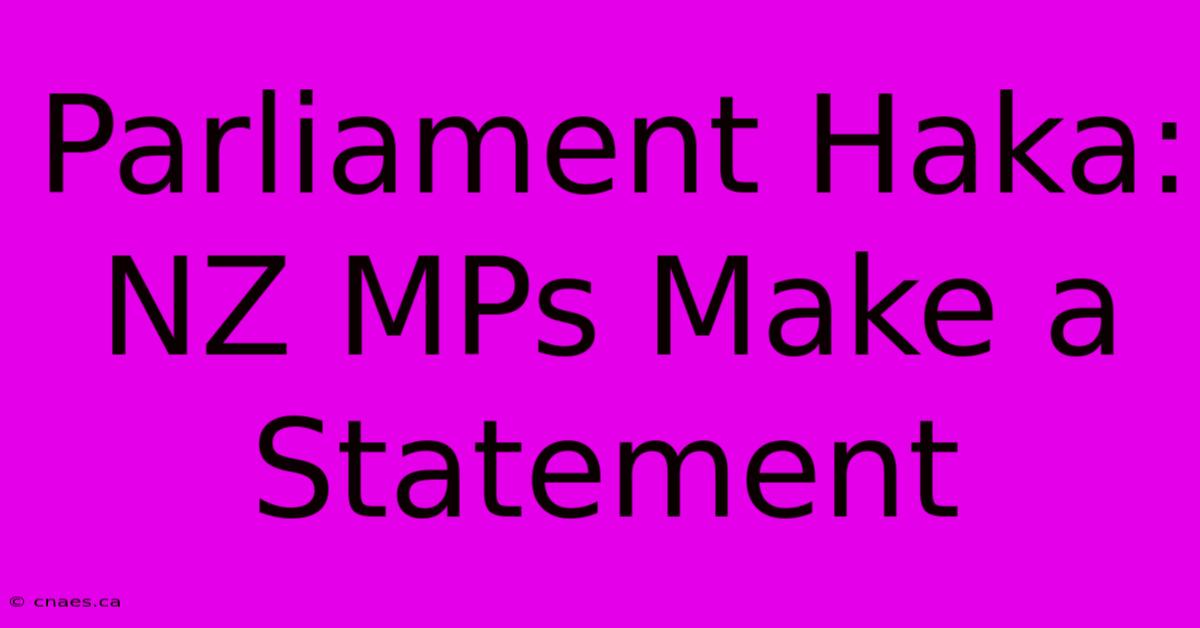 Parliament Haka: NZ MPs Make A Statement