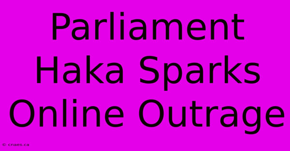 Parliament Haka Sparks Online Outrage