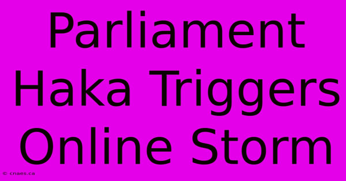 Parliament Haka Triggers Online Storm 