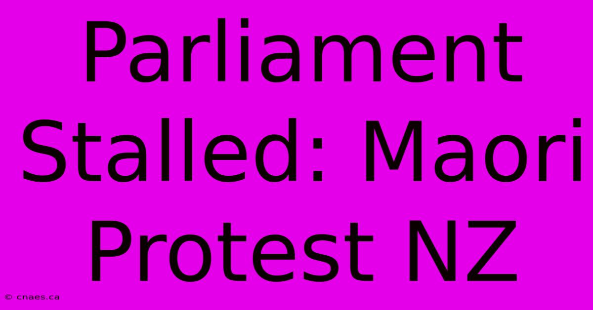 Parliament Stalled: Maori Protest NZ