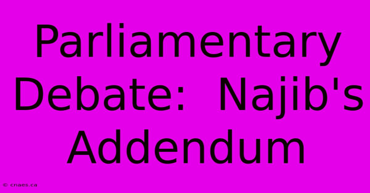 Parliamentary Debate:  Najib's Addendum