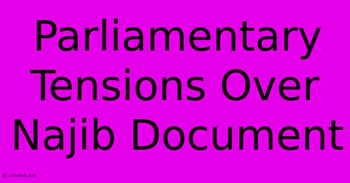 Parliamentary Tensions Over Najib Document 