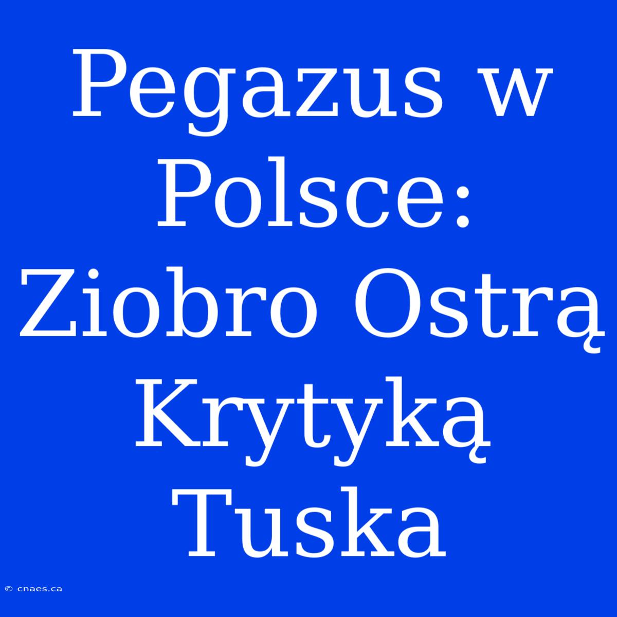 Pegazus W Polsce: Ziobro Ostrą Krytyką Tuska