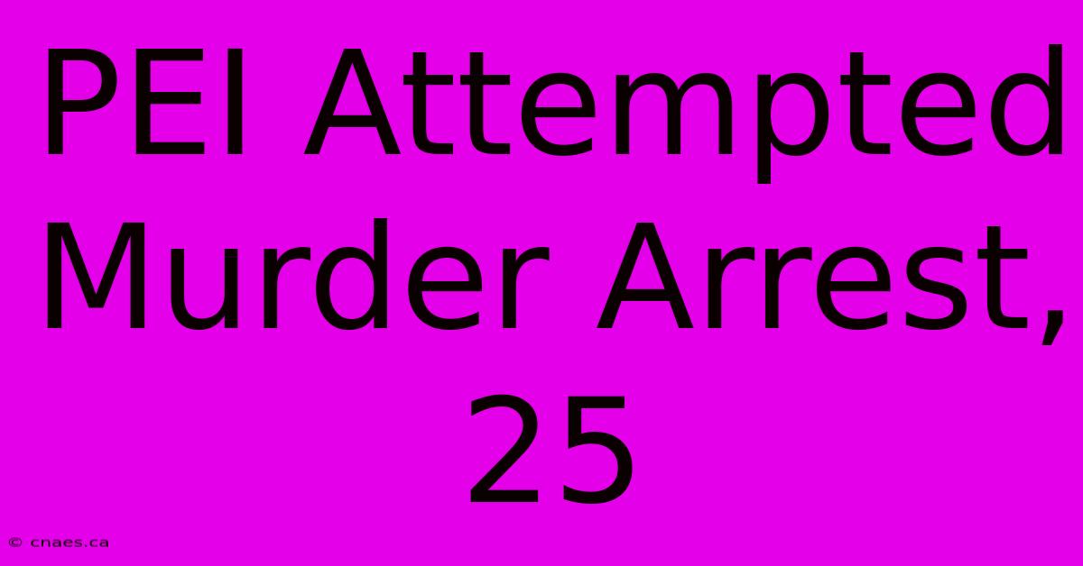 PEI Attempted Murder Arrest, 25