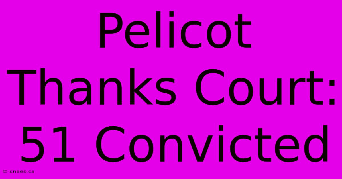 Pelicot Thanks Court: 51 Convicted