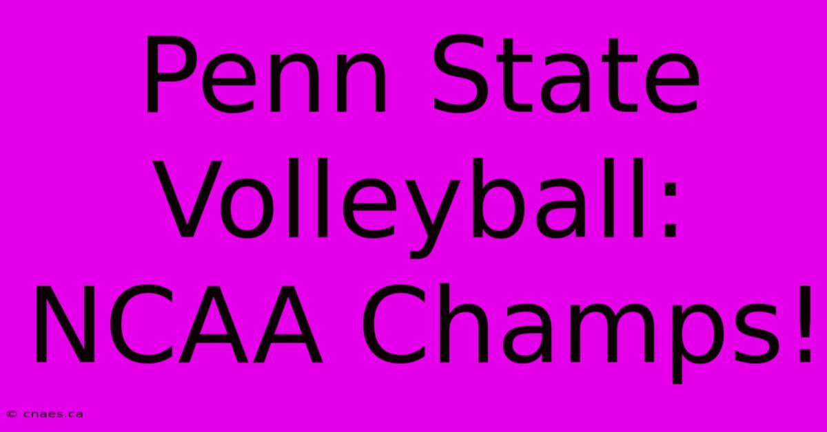 Penn State Volleyball: NCAA Champs!