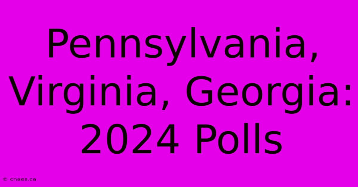 Pennsylvania, Virginia, Georgia: 2024 Polls