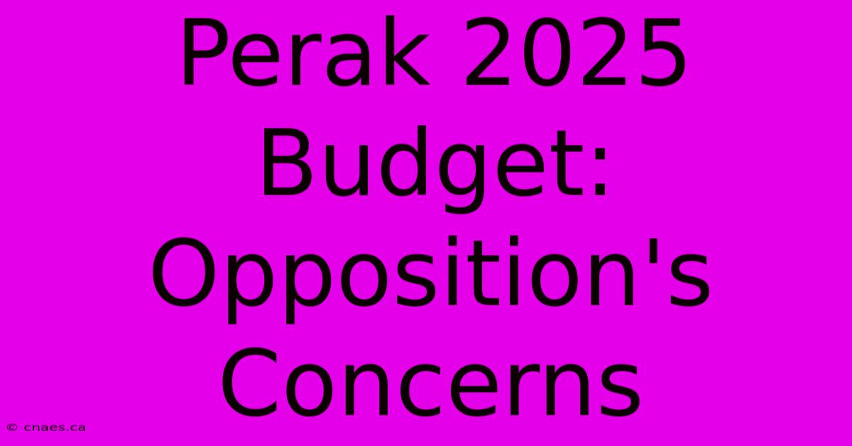 Perak 2025 Budget: Opposition's Concerns