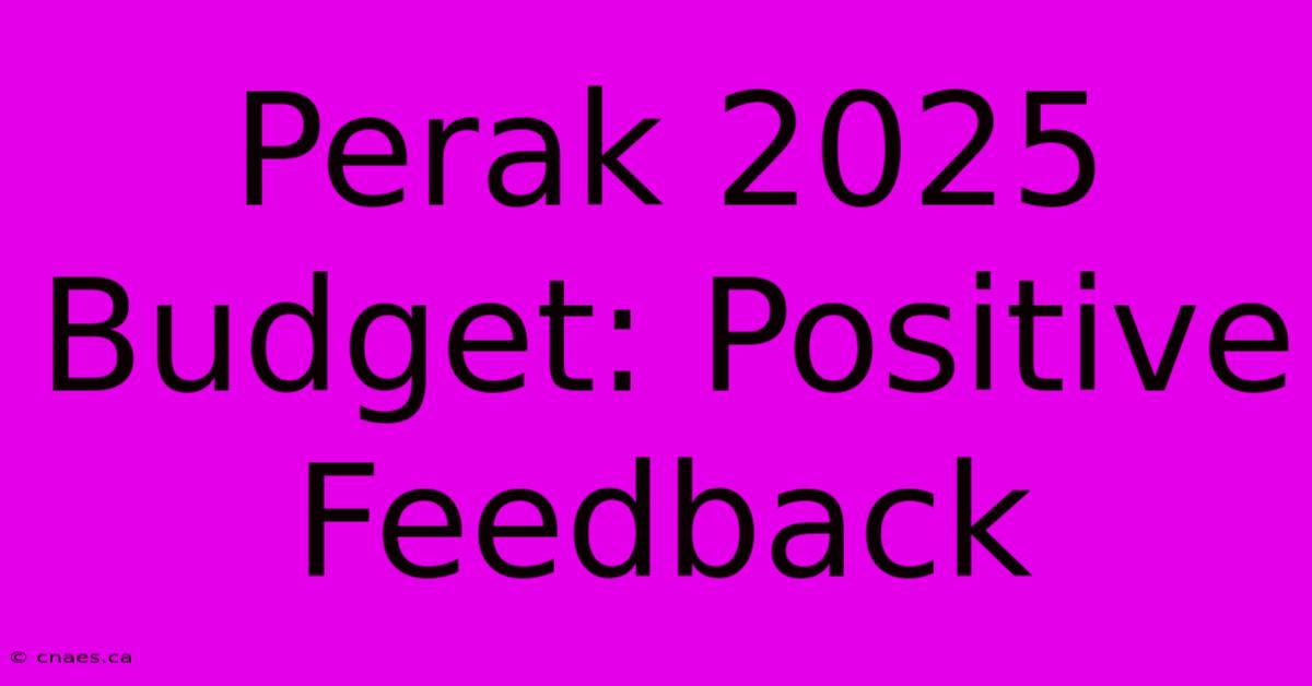 Perak 2025 Budget: Positive Feedback