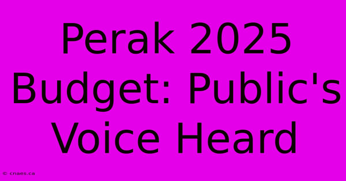 Perak 2025 Budget: Public's Voice Heard