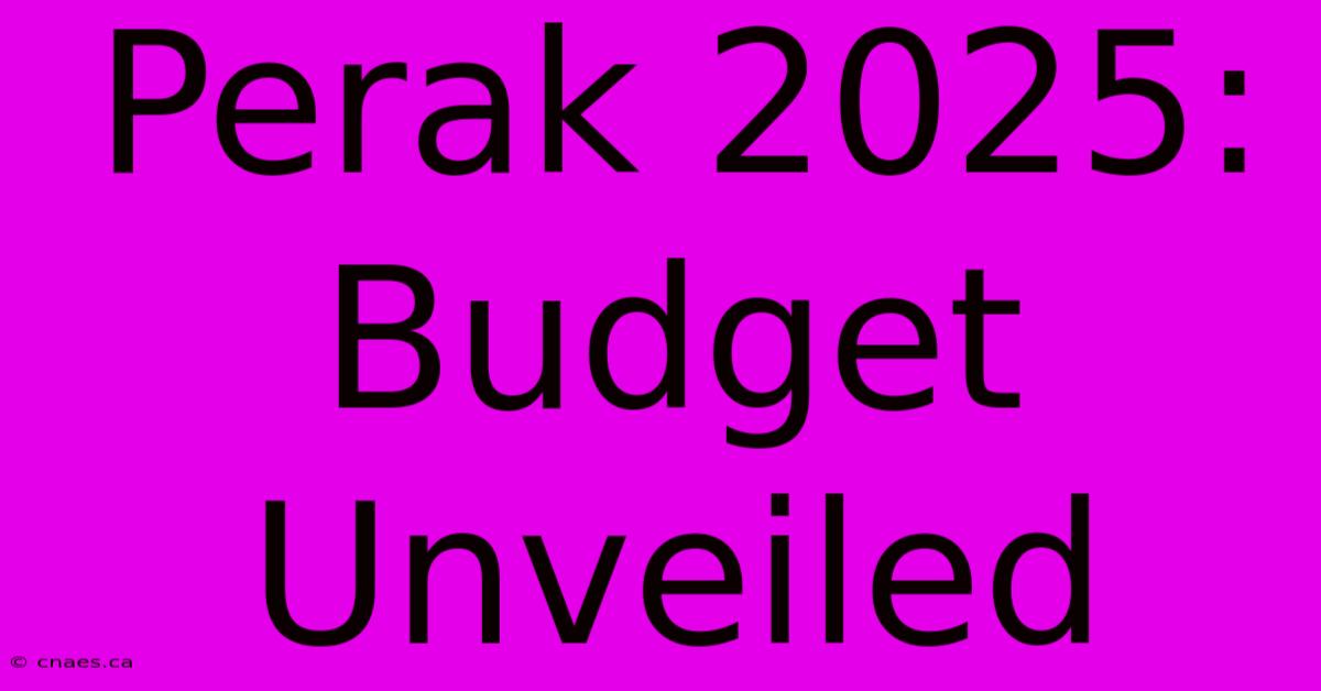 Perak 2025: Budget Unveiled